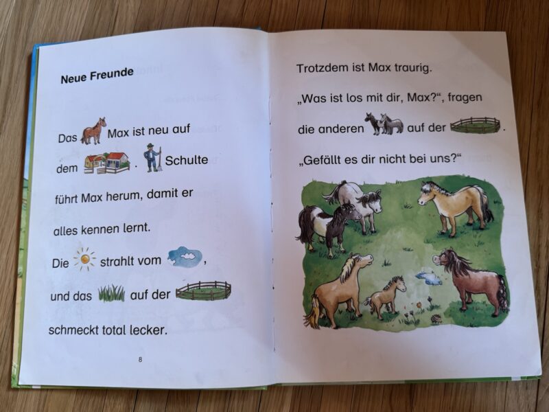 Geschichten vom Ponyhof