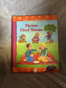 Meine fünf Sinne