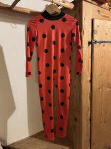 Ladybug Kostüm